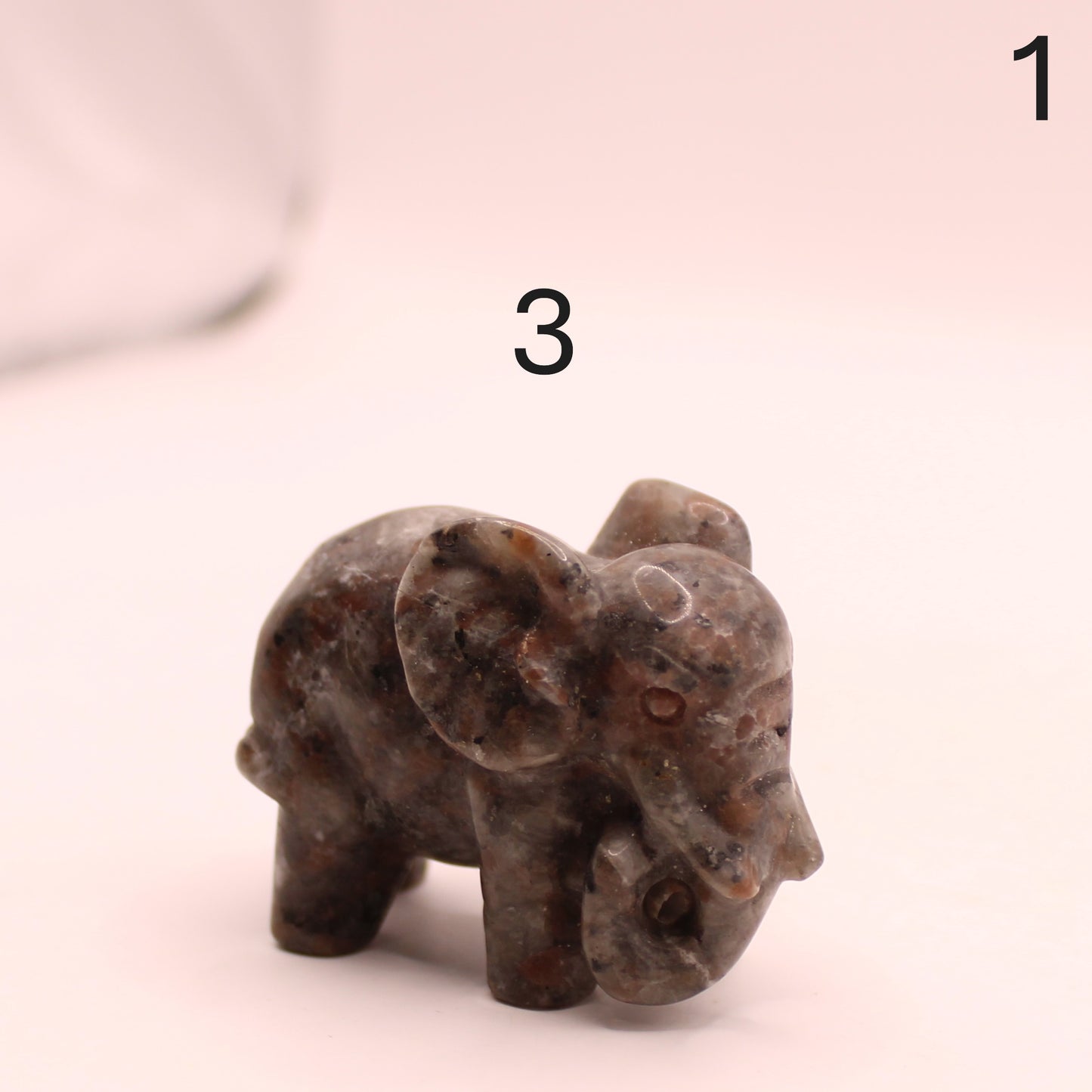 Elephant Trunk Down