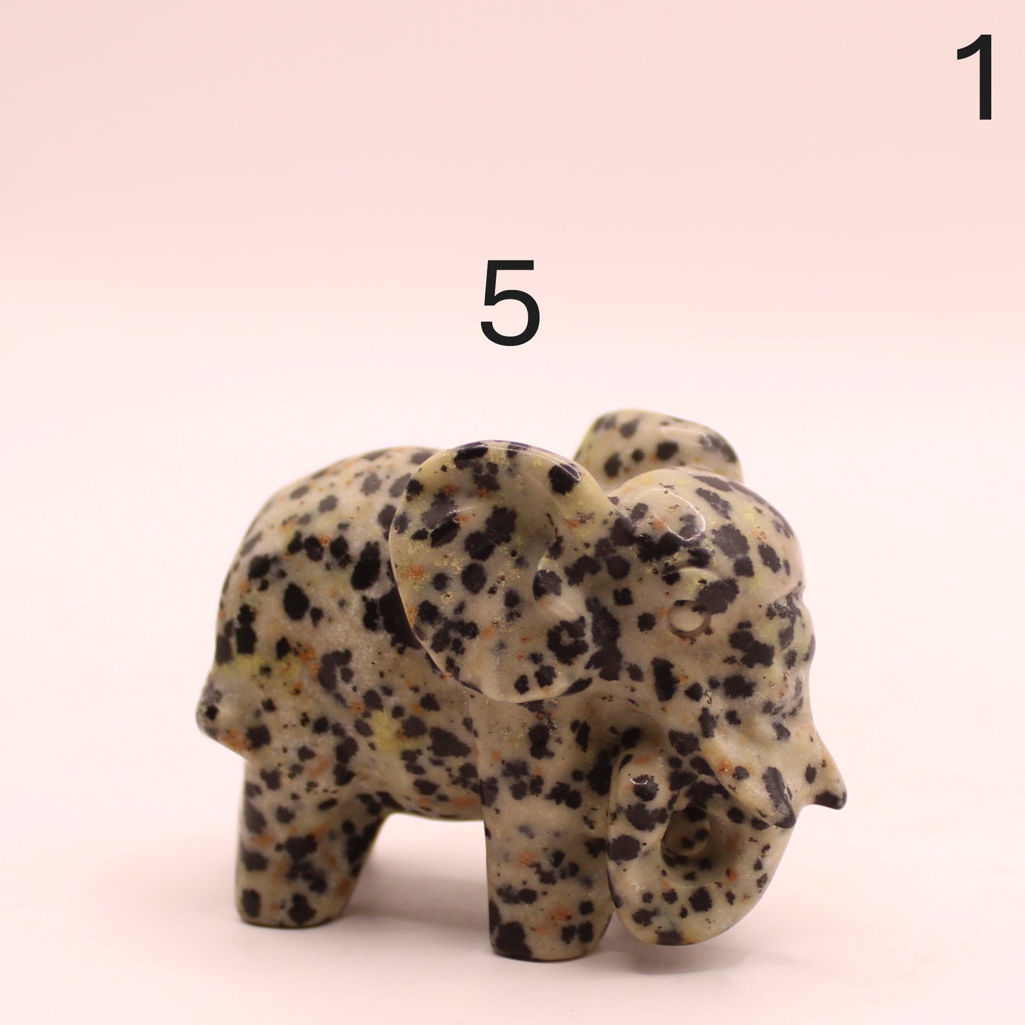 Elephant Trunk Down
