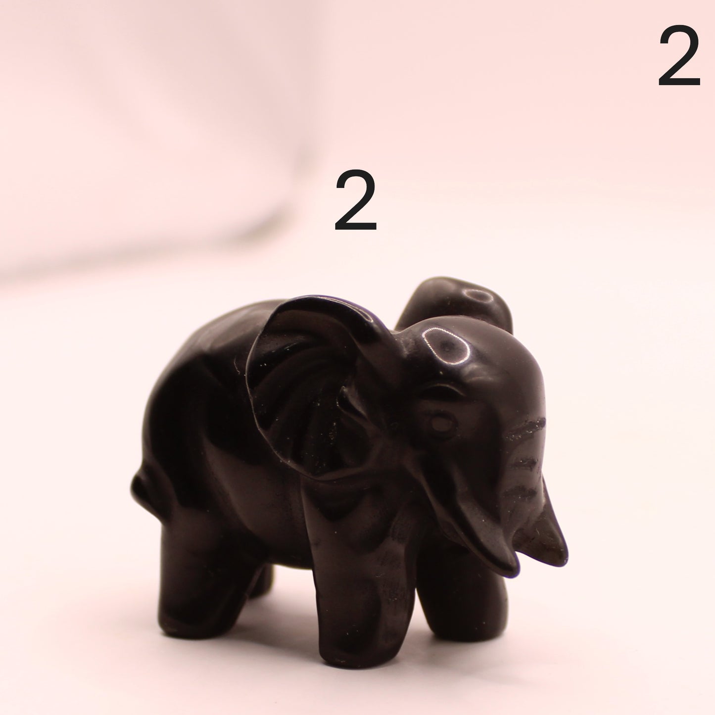 Elephant Trunk Down
