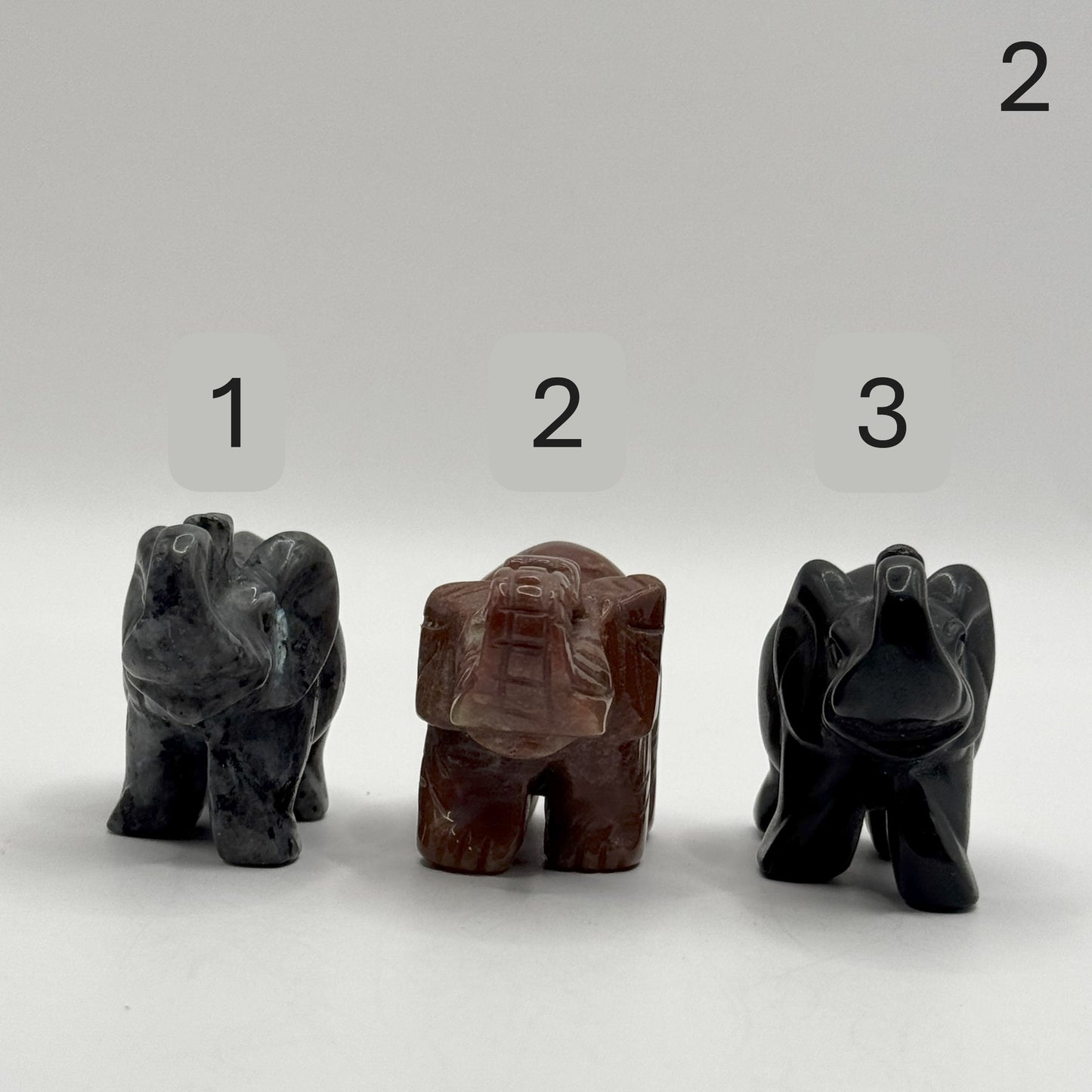 Elephant with Trunk up
