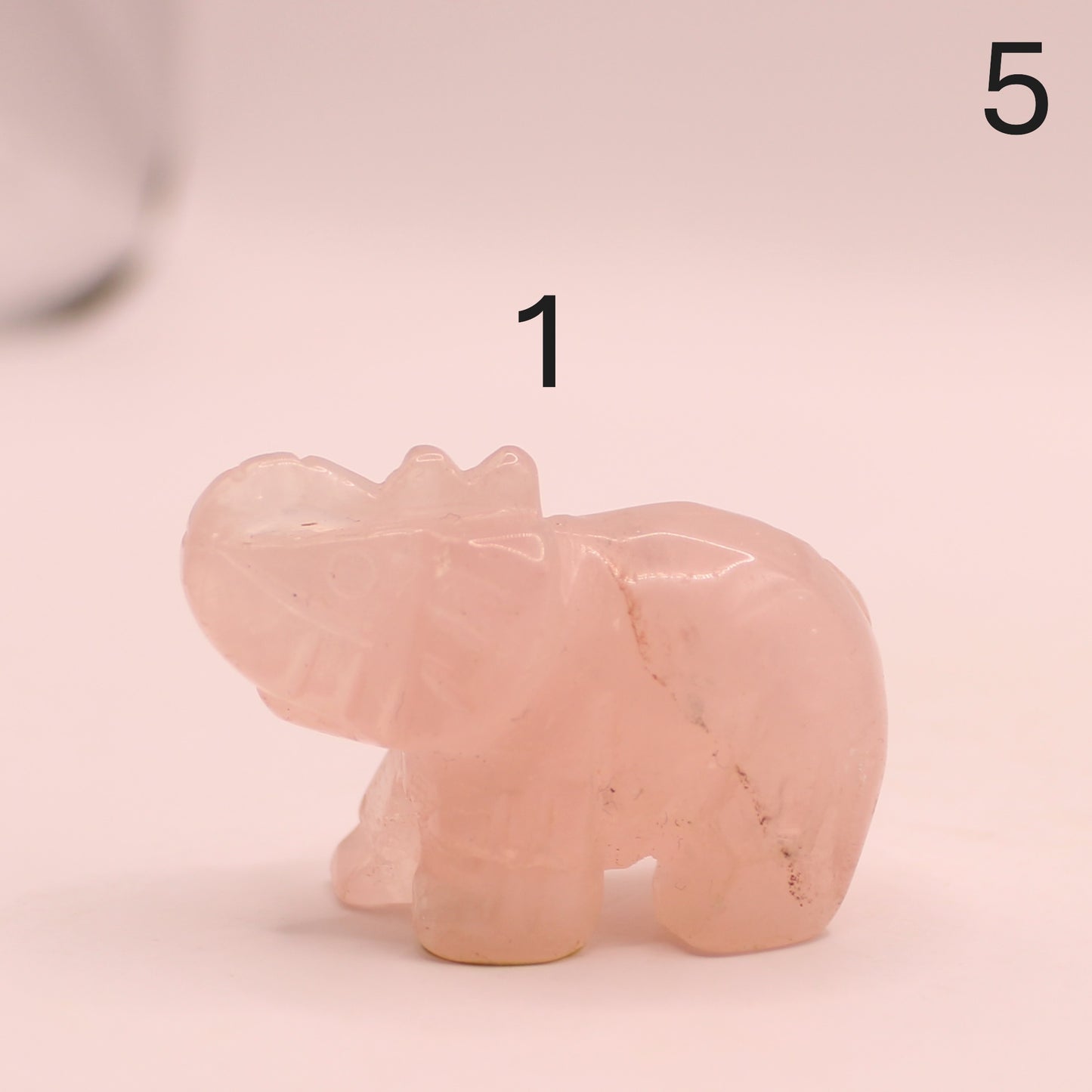 Elephant with Trunk up