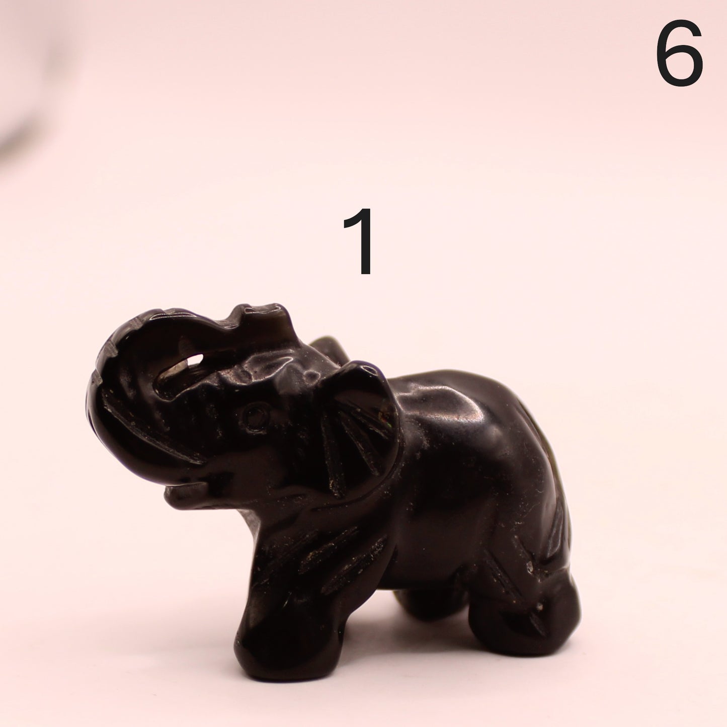 Elephant with Trunk up