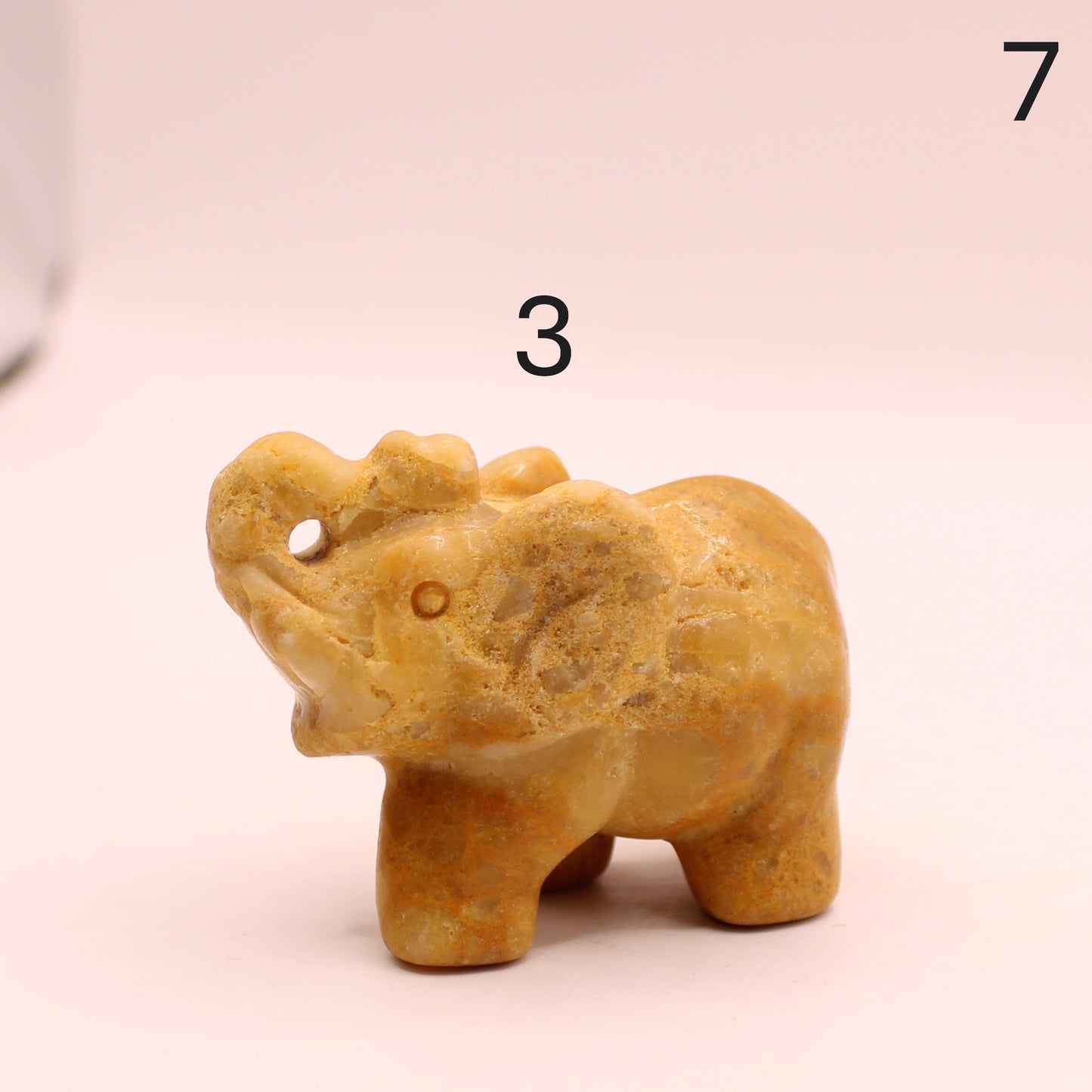 Elephant with Trunk up