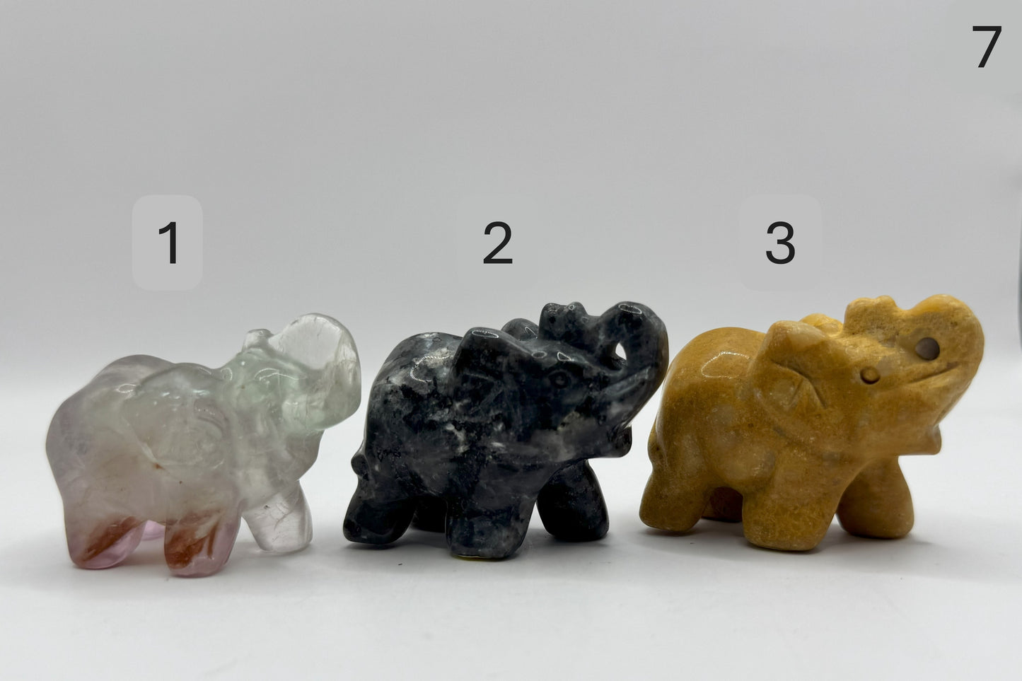 Elephant with Trunk up