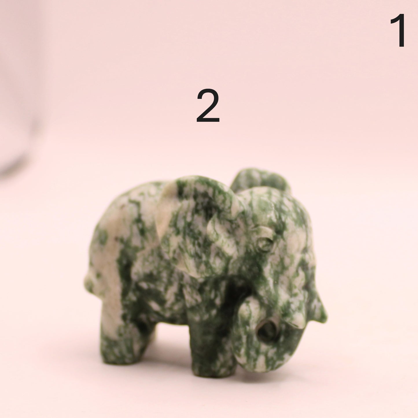 Elephant Trunk Down