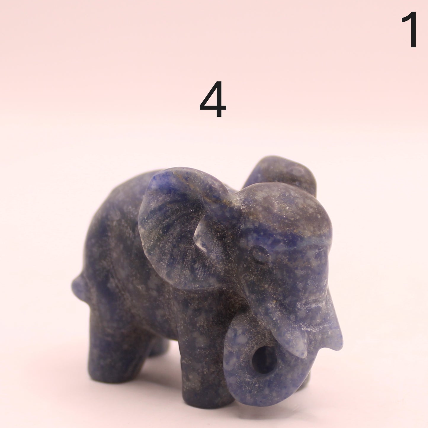 Elephant Trunk Down