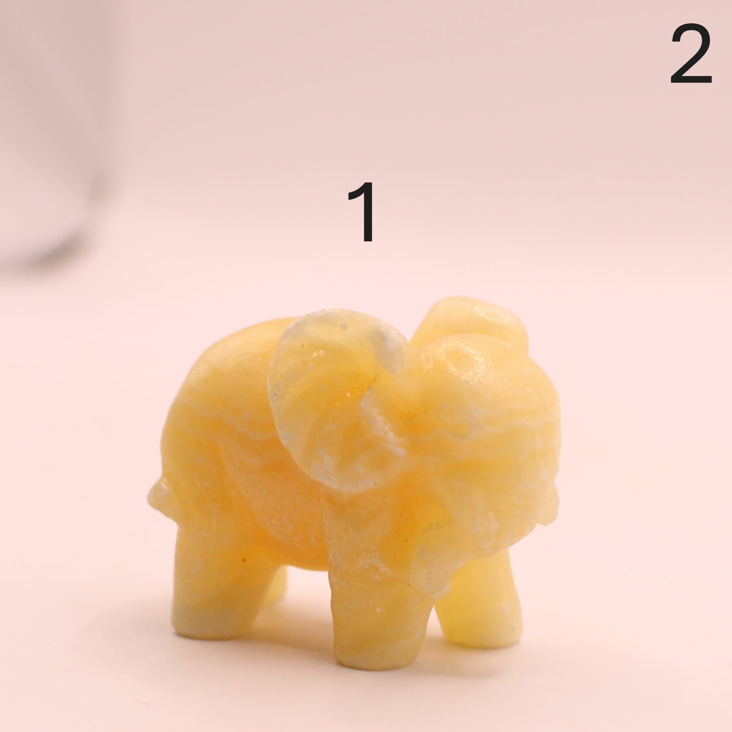 Elephant Trunk Down