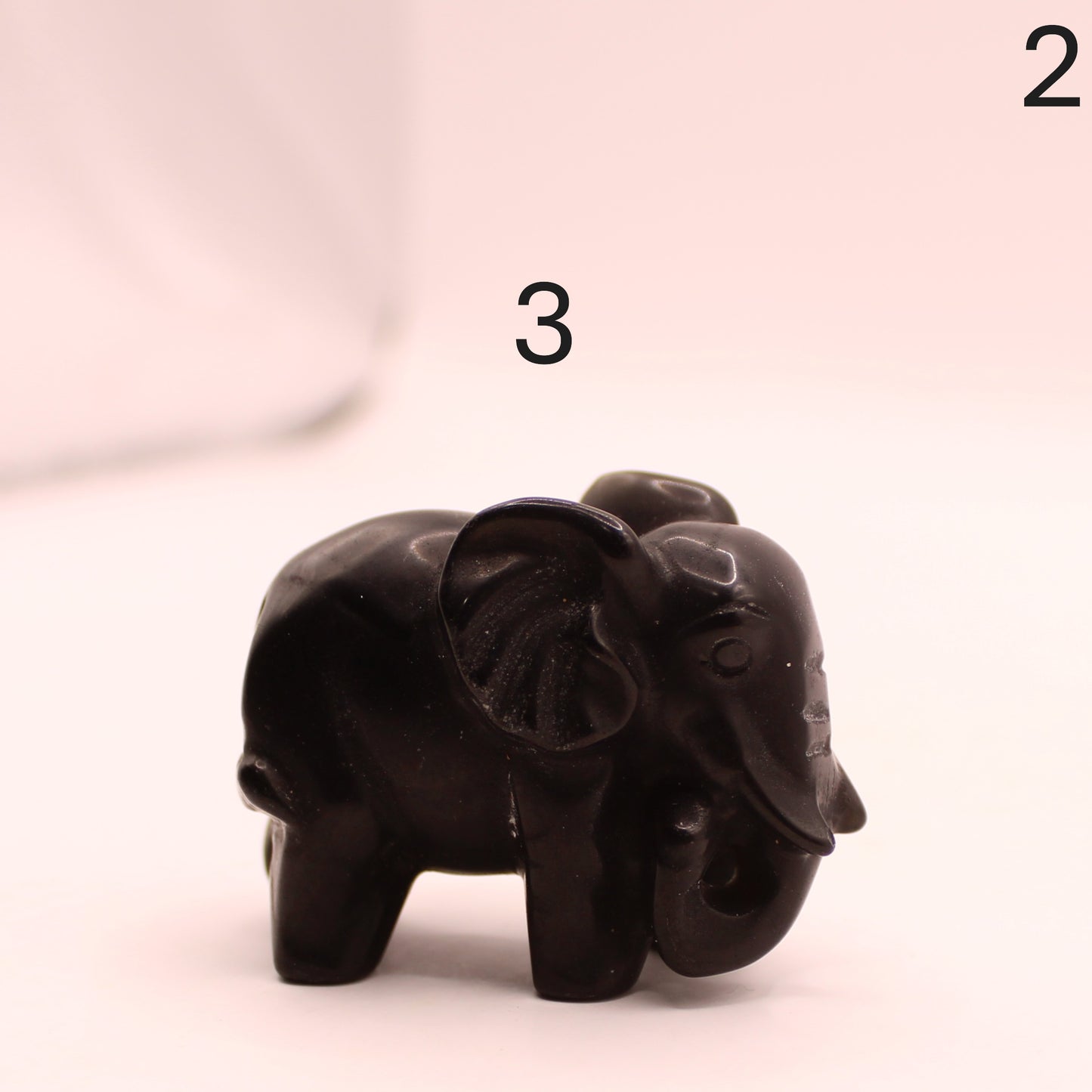 Elephant Trunk Down