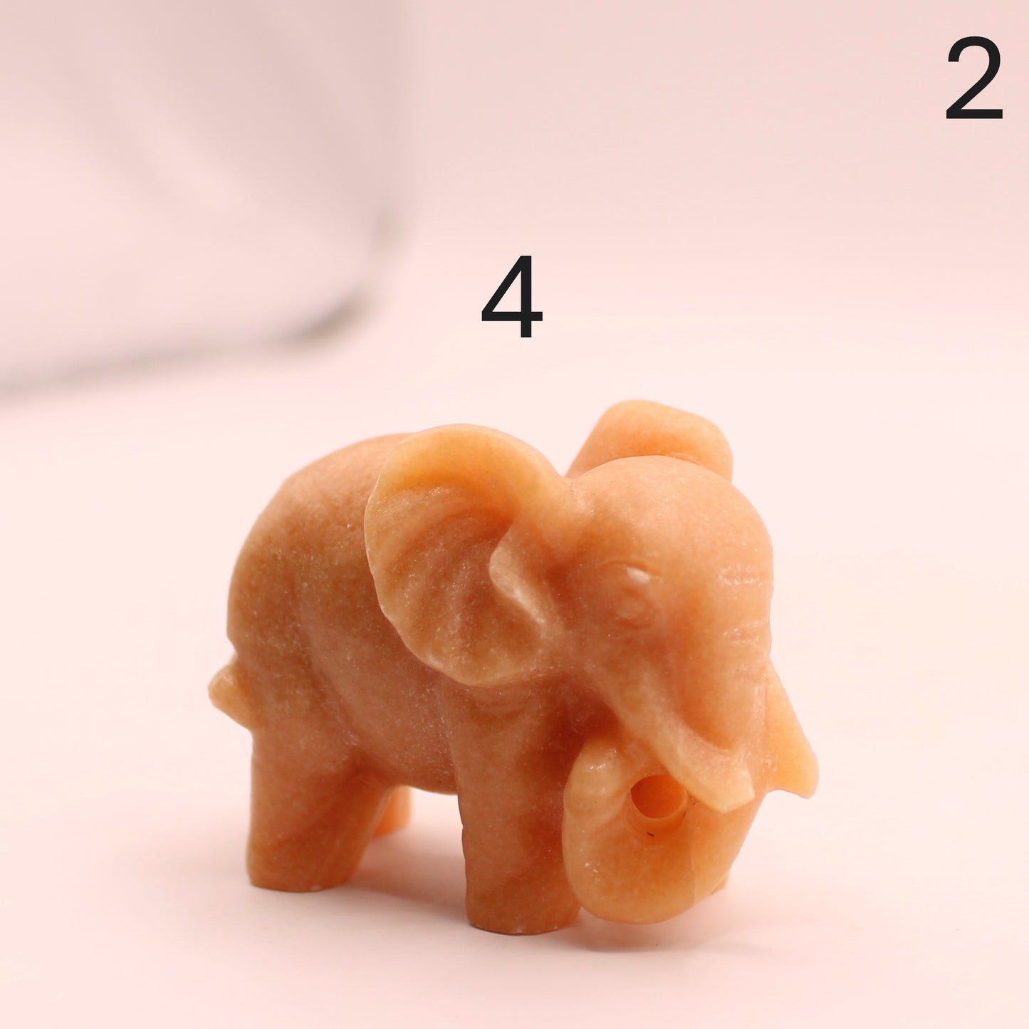 Elephant Trunk Down