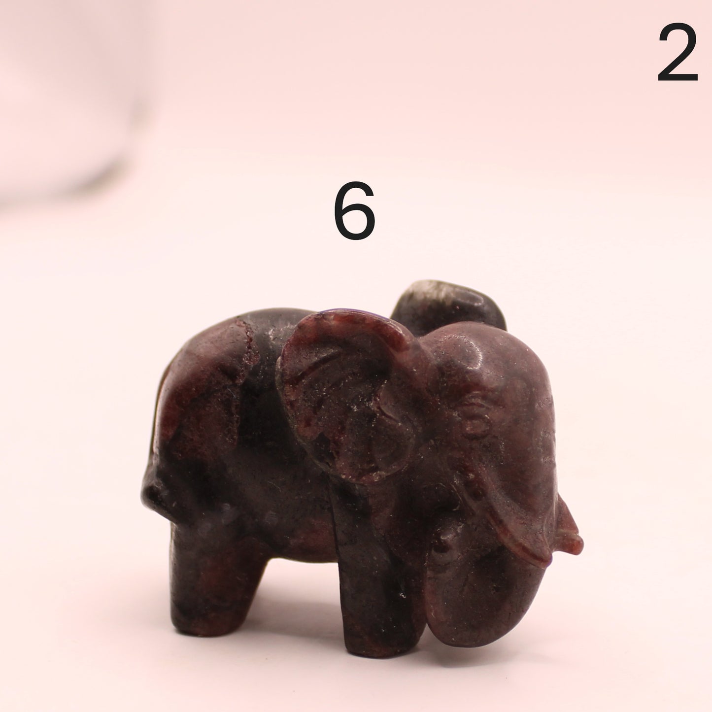 Elephant Trunk Down