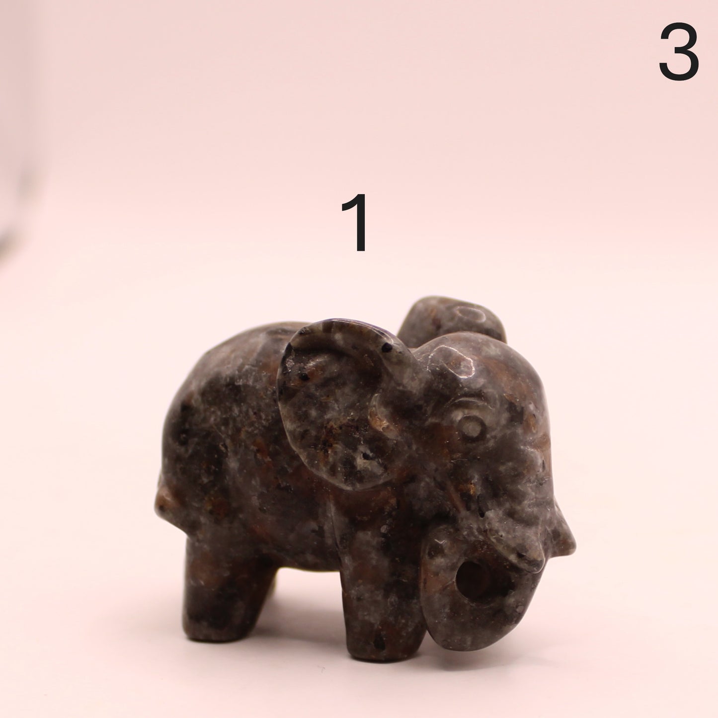 Elephant Trunk Down