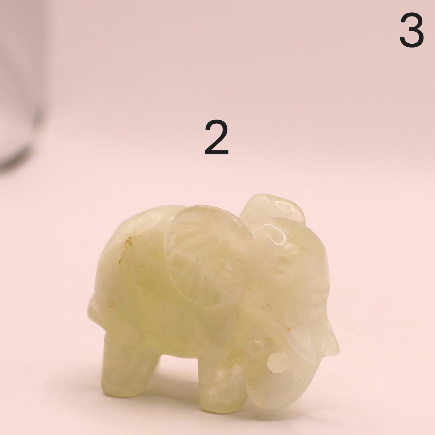 Elephant Trunk Down