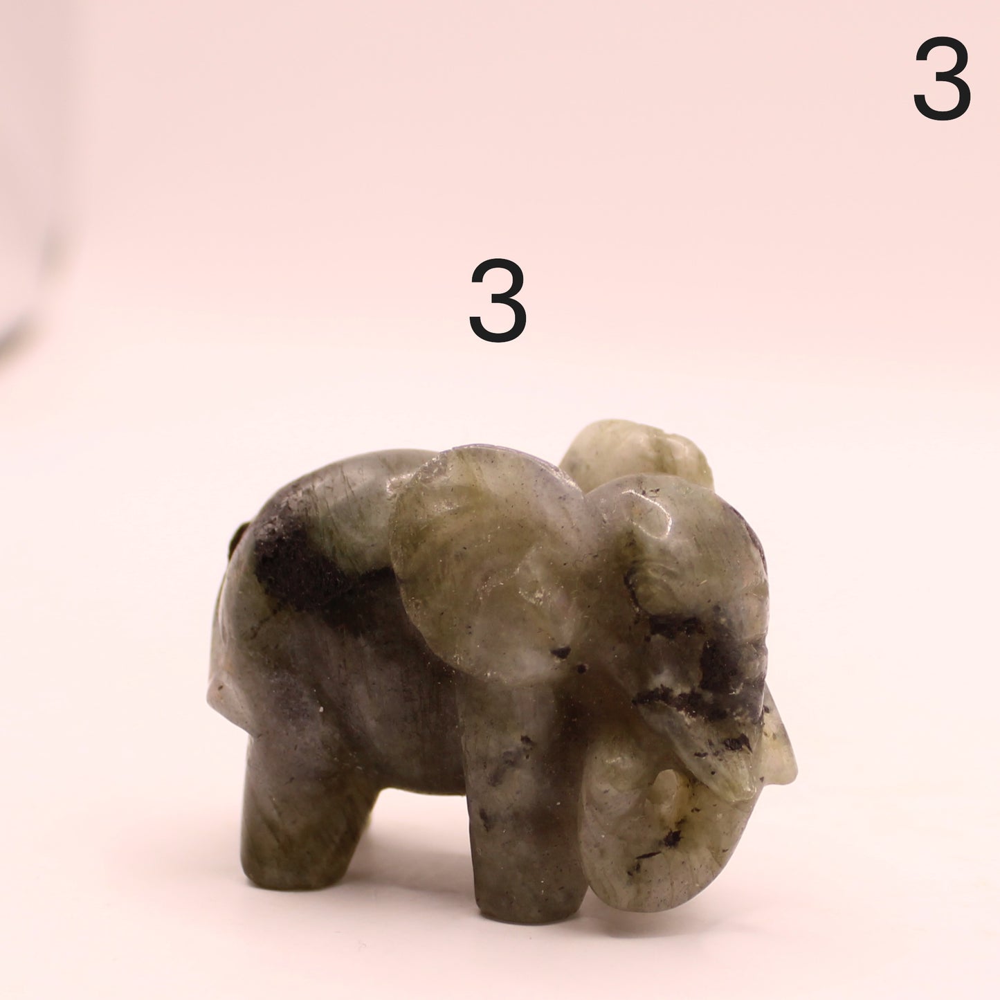 Elephant Trunk Down