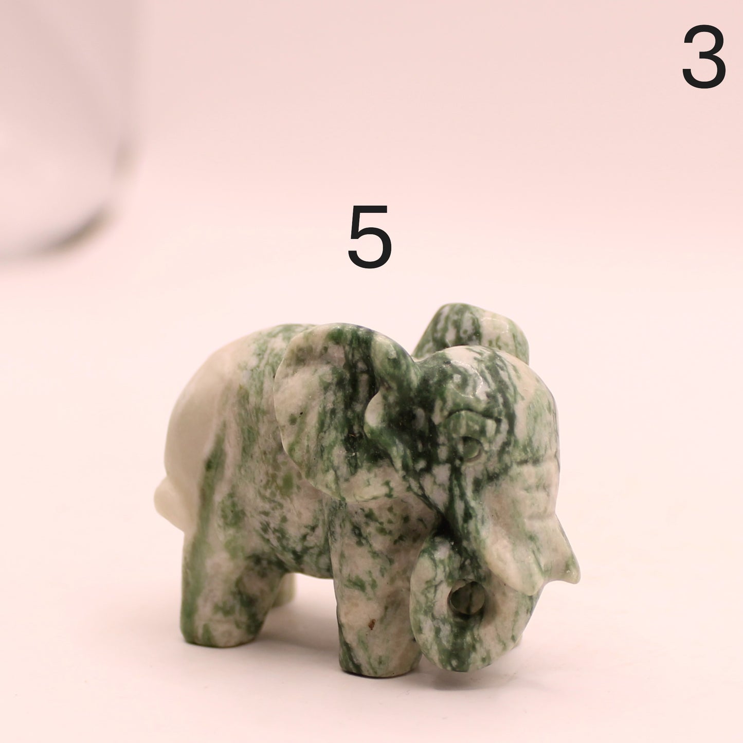 Elephant Trunk Down