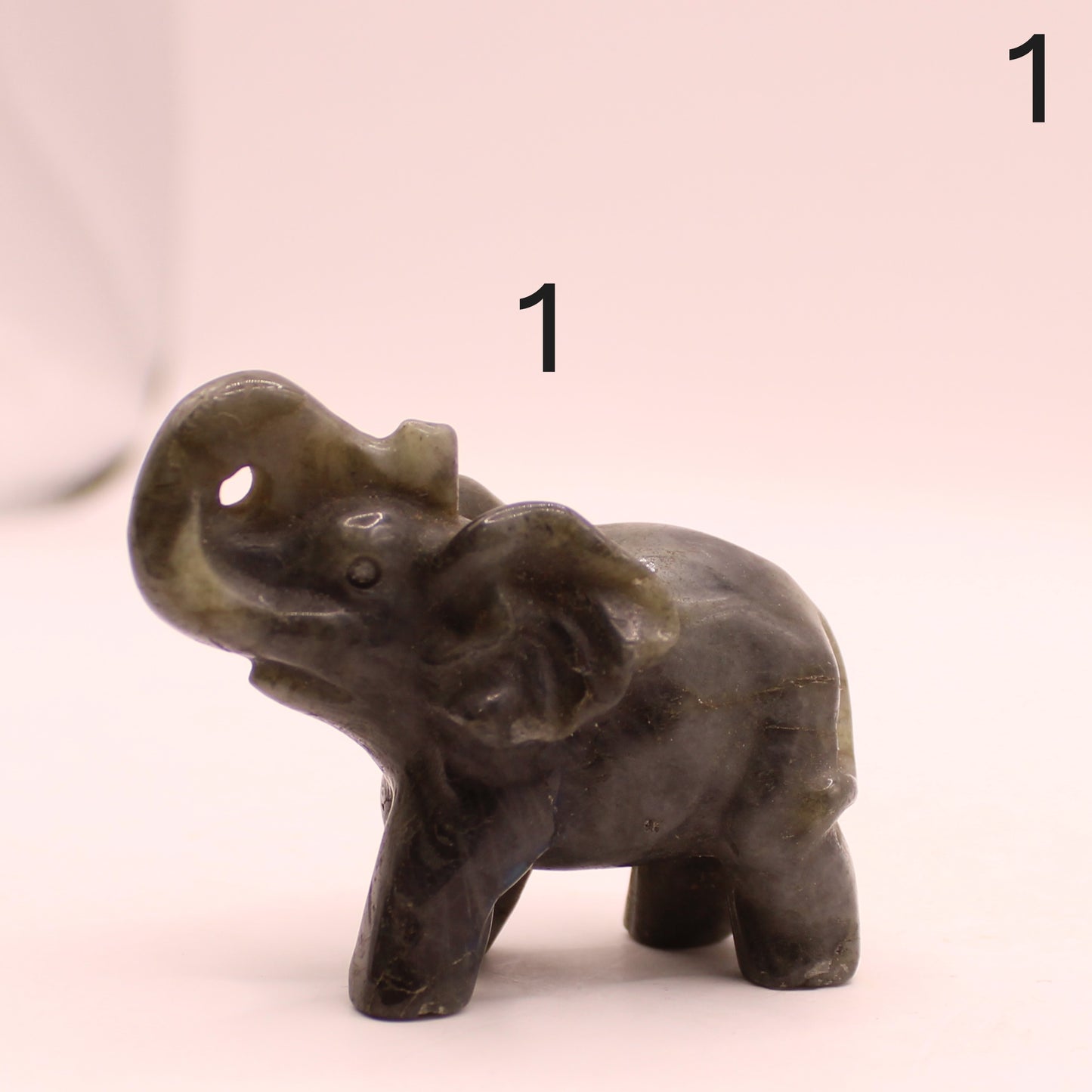 Elephant with Trunk up