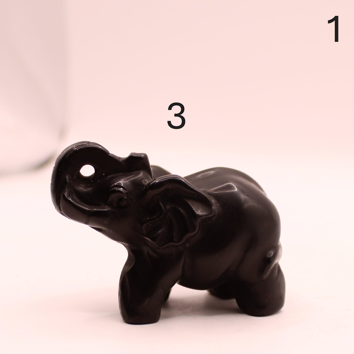 Elephant with Trunk up