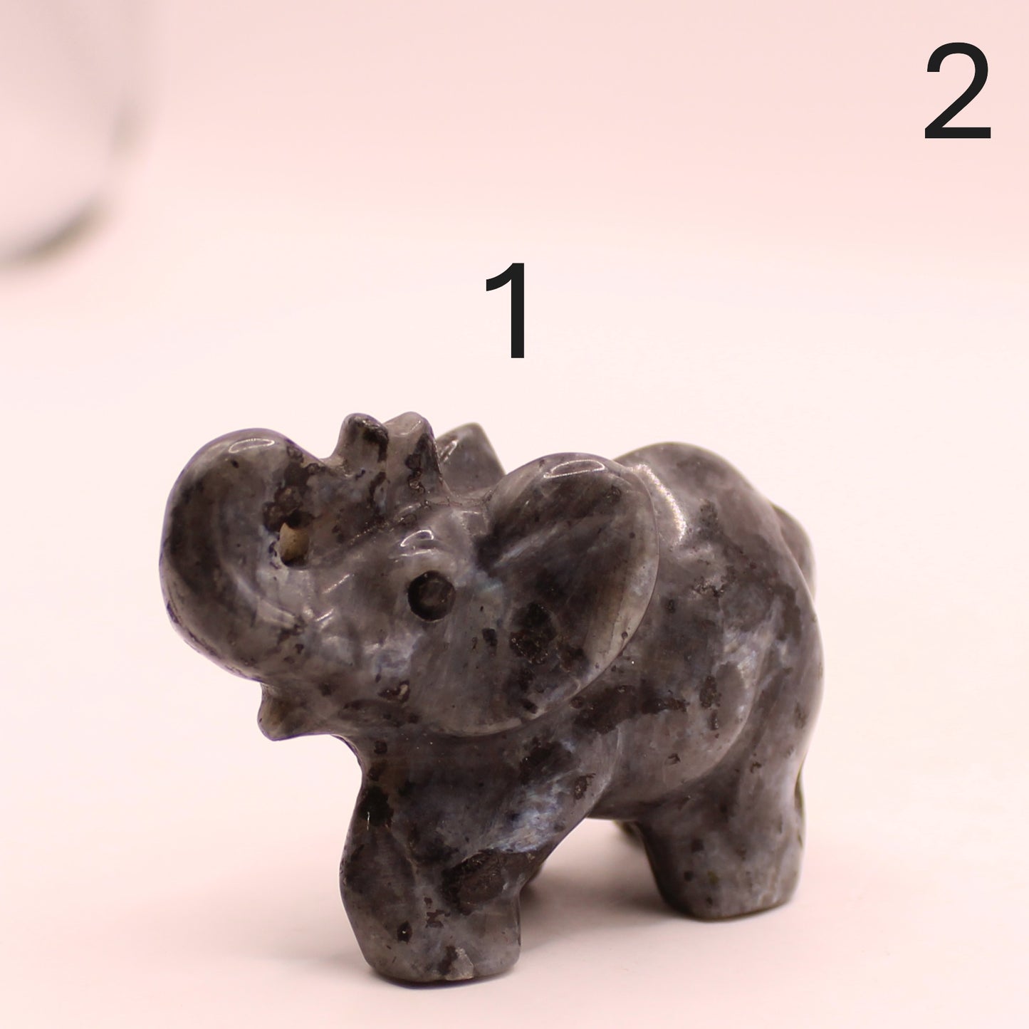 Elephant with Trunk up