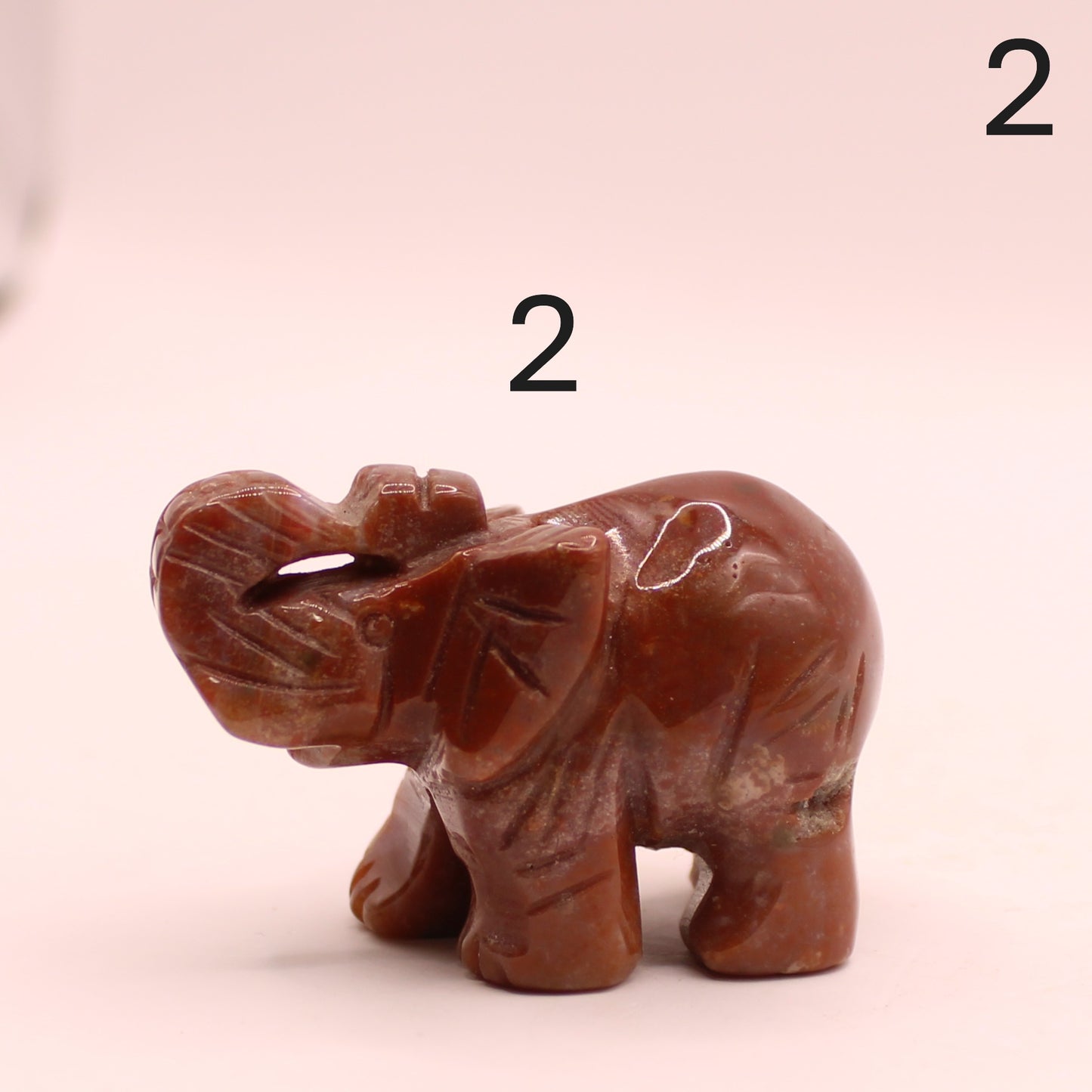 Elephant with Trunk up