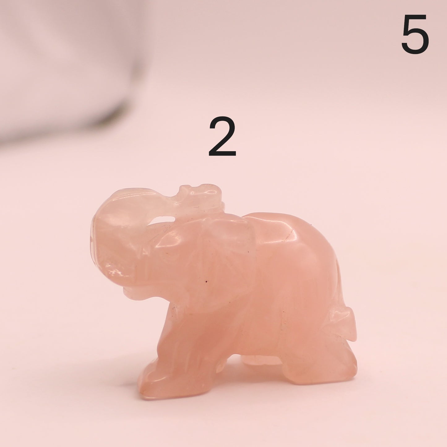 Elephant with Trunk up