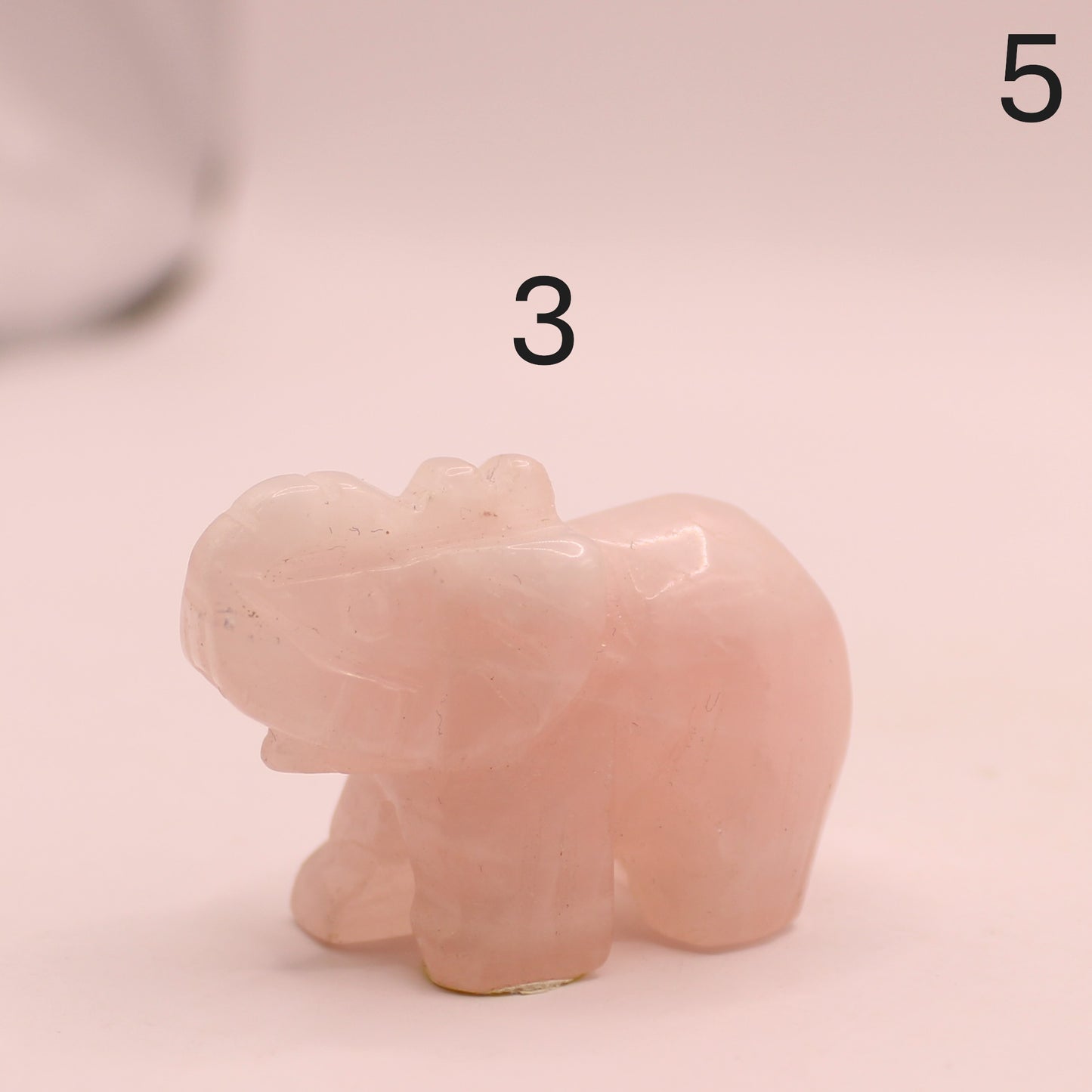 Elephant with Trunk up