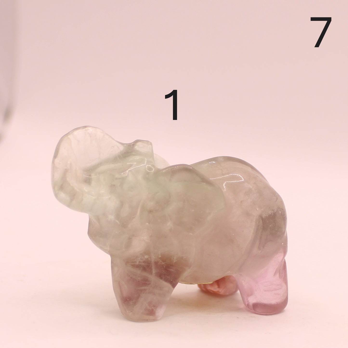 Elephant with Trunk up