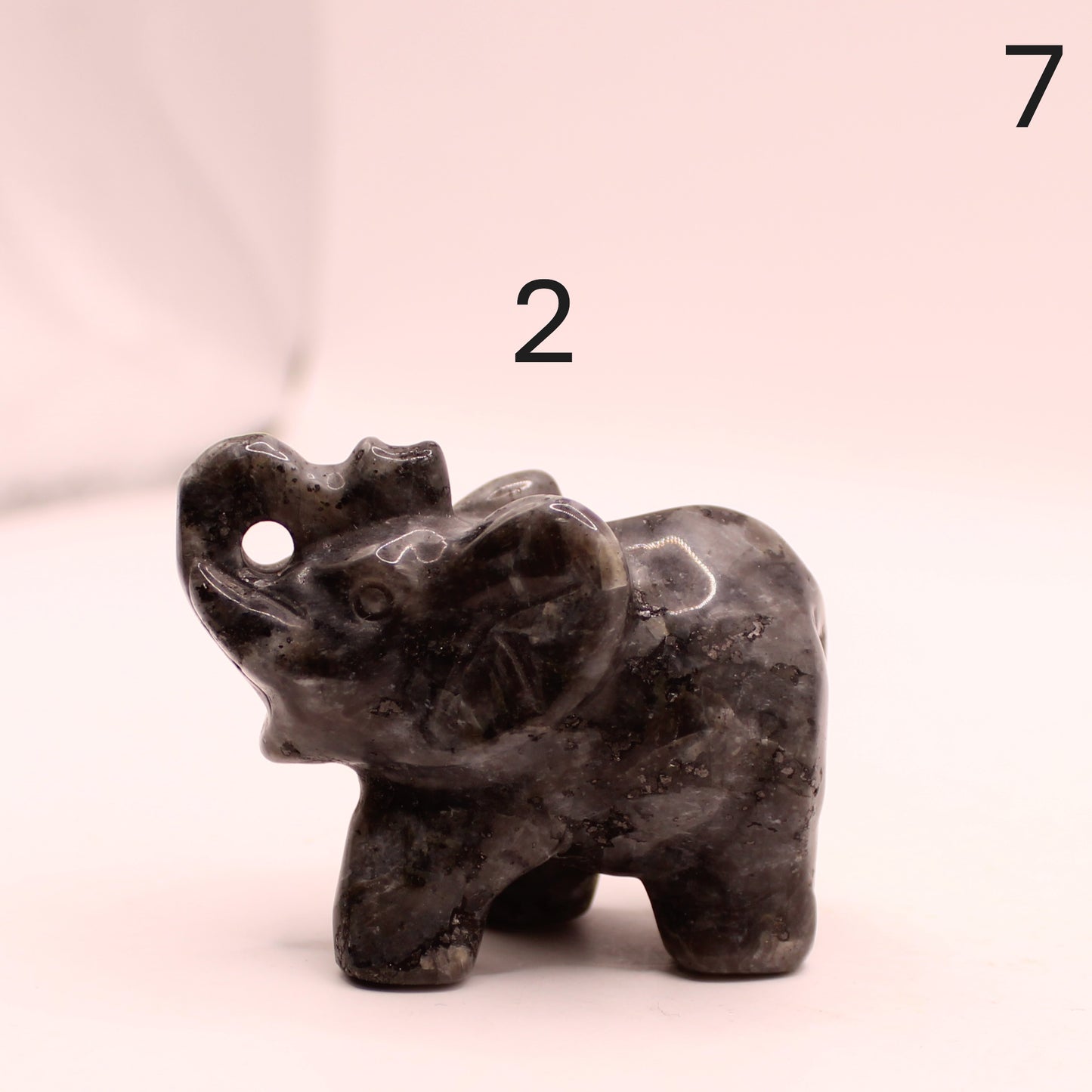 Elephant with Trunk up