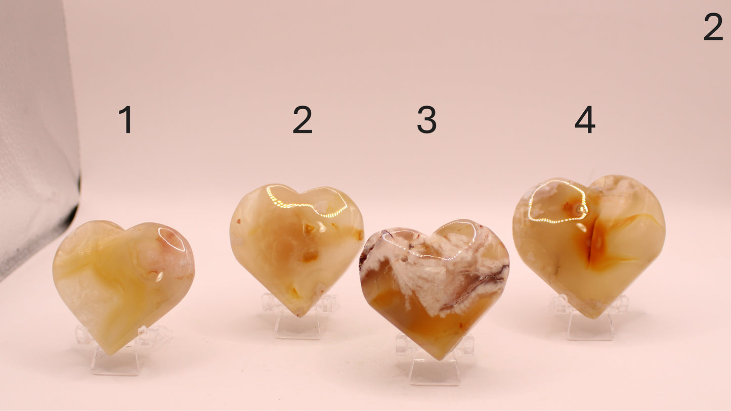 Flower Agate Heart
