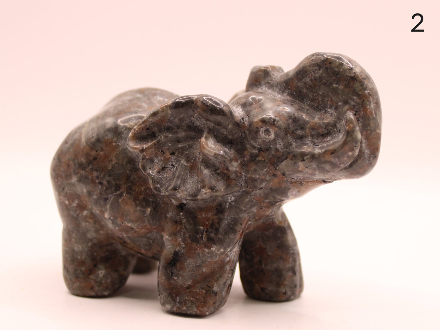 Large Elephant