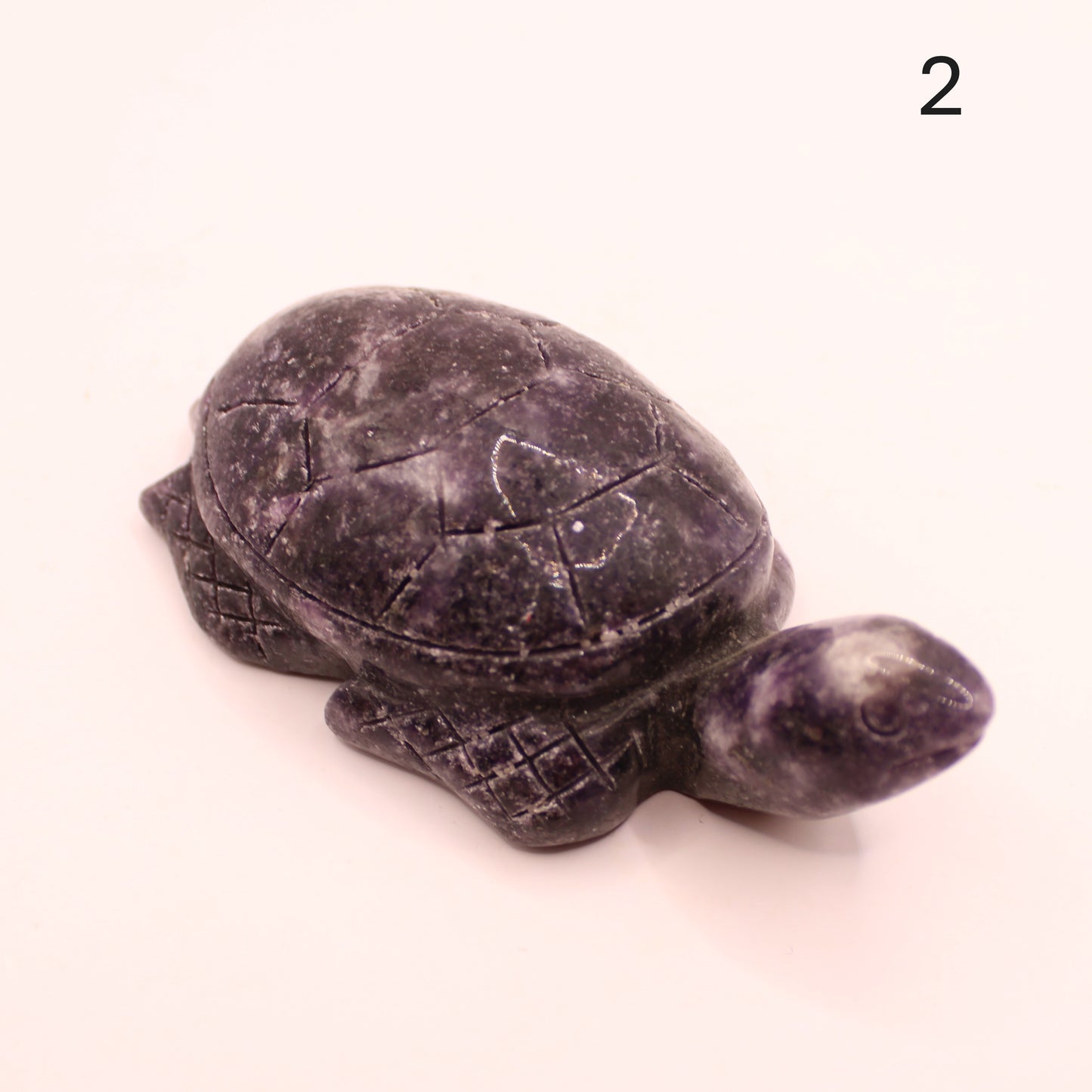 Large Turtle
