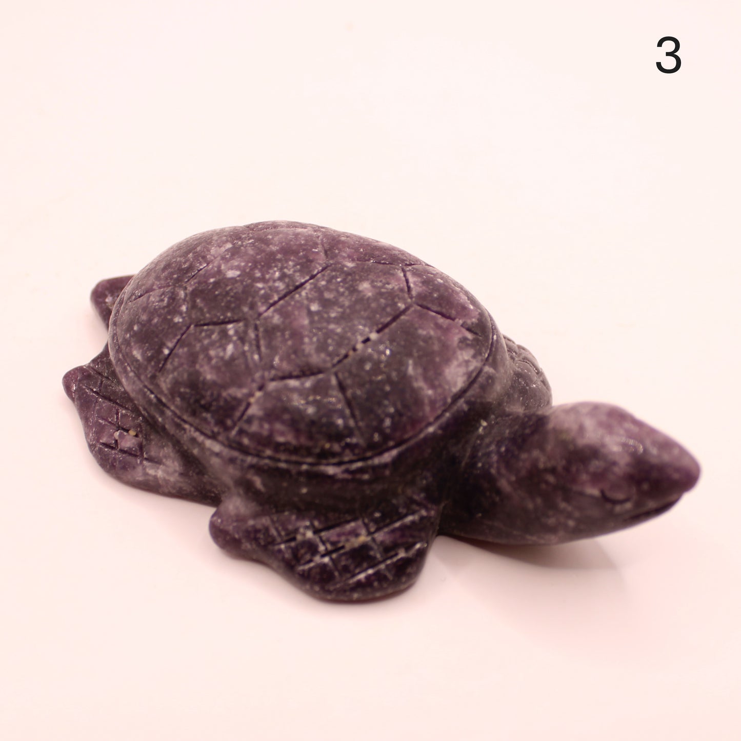Large Turtle