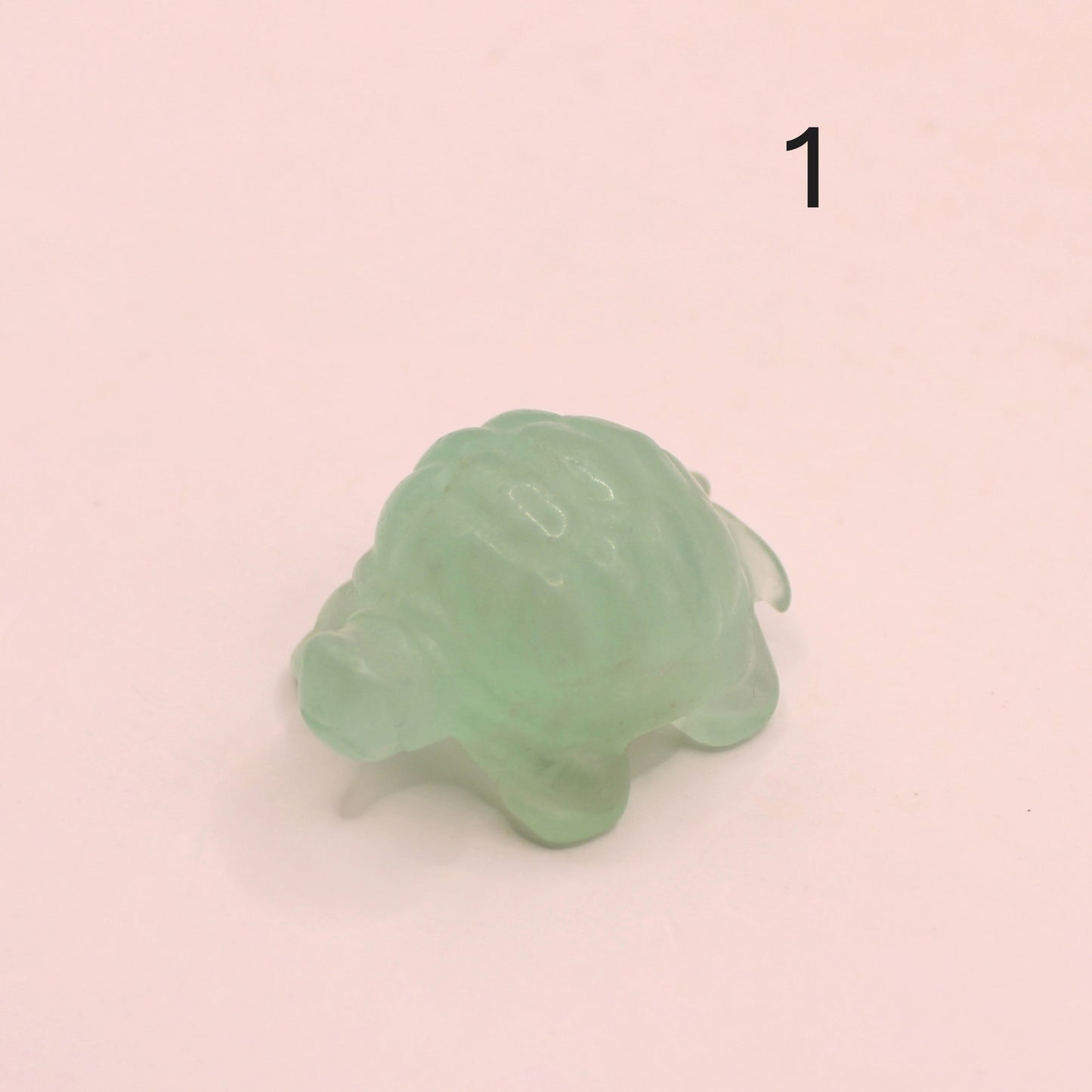 Lil Turtles