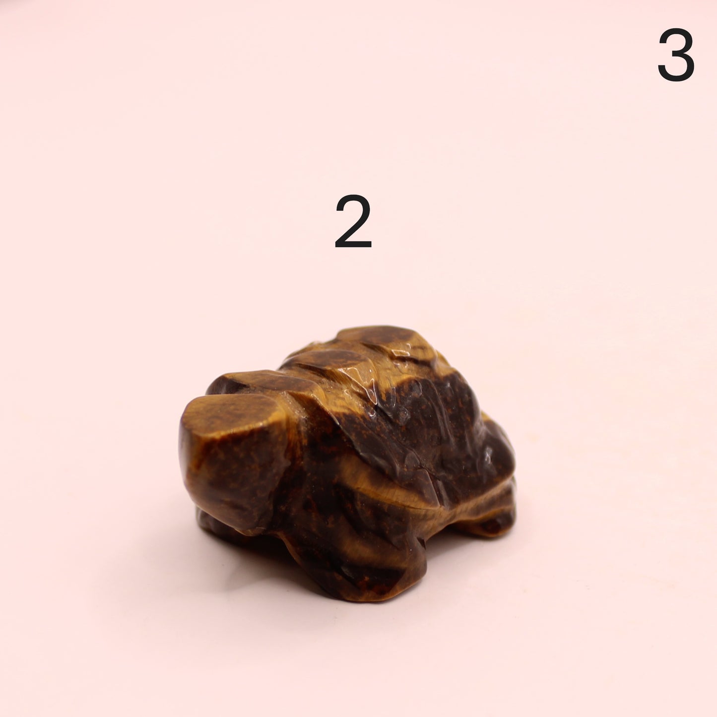 Lil Turtles